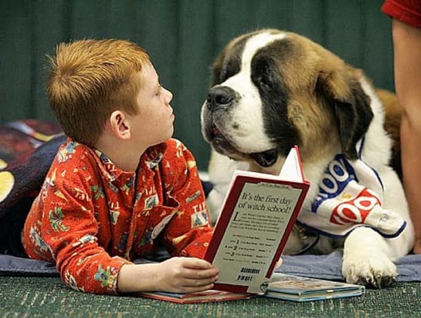 Dislessia: i cani da lettura possono aiutare i bambini a superare questo disturbo