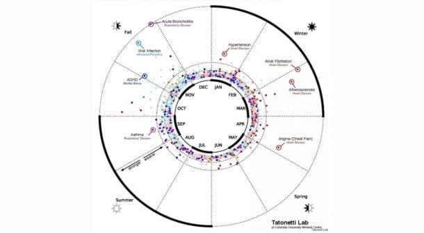 Quando sei nato? Ad ogni mese corrisponde una malattia: la scienza spiega quali e perchè