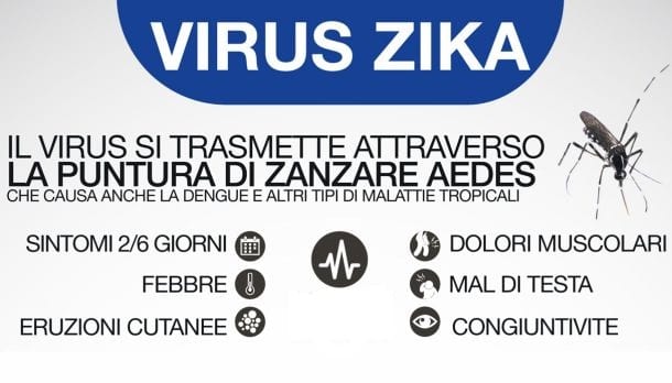 Zika, per bambini e adulti non solo microcefalia: molti rischi per il cervello