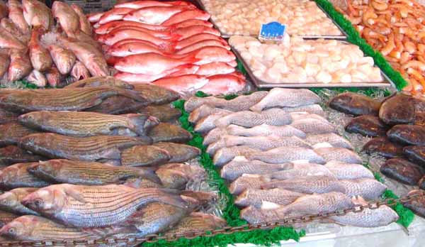 Sequestrate 1,5 tonnellate di pesce: doveva arrivare sulle tavole a Natale