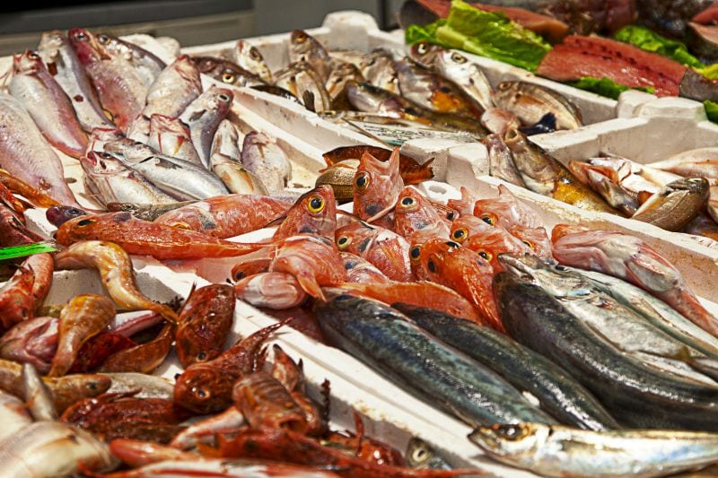 Ricerca choc: se mangi il pesce ingerisci 11mila pezzi di plastica all'anno