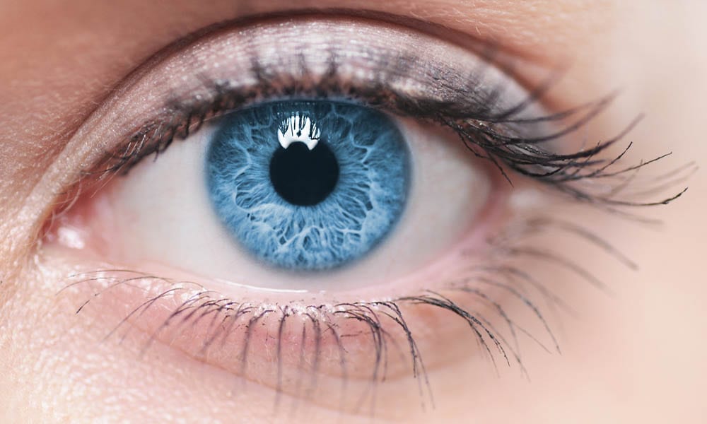 Retina artificiale fa recuperare la vista: sull'uomo entro il 2017