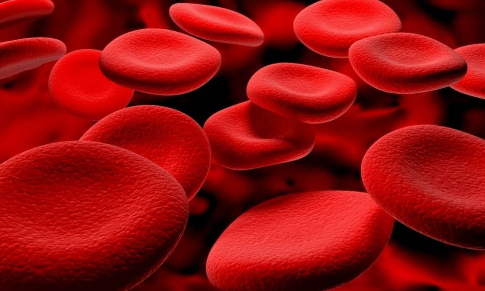 Gruppo sanguigno e probabilità di infarto o ictus: quali corrono più rischi?