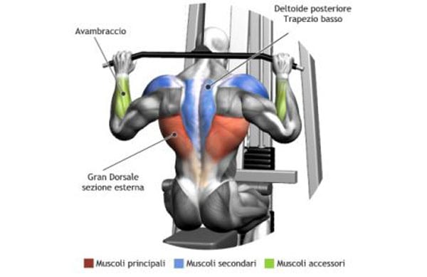 Lat machine: come si usa e quali muscoli fa lavorare