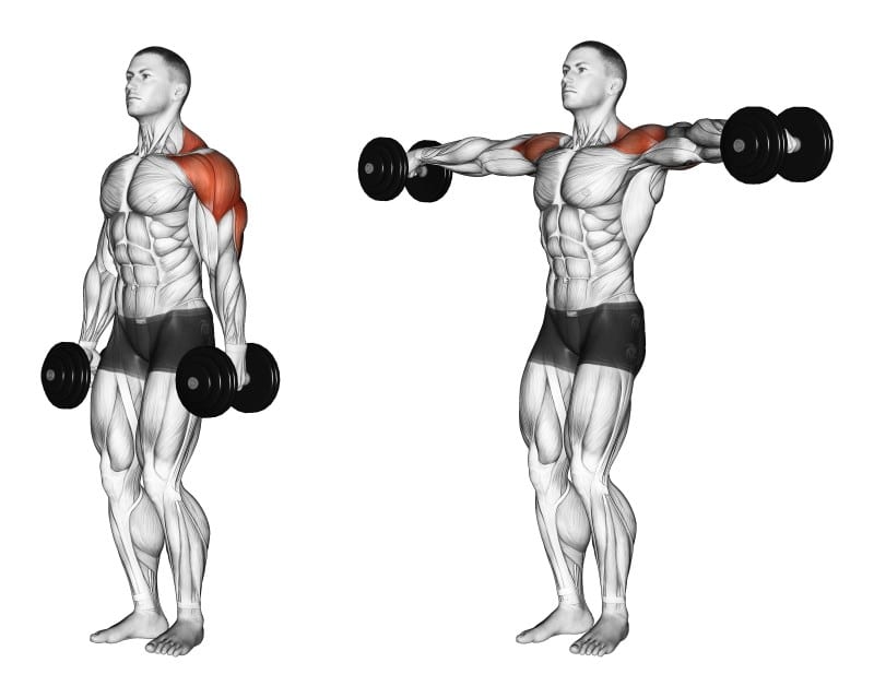Alzate laterali: i muscoli coinvolti
