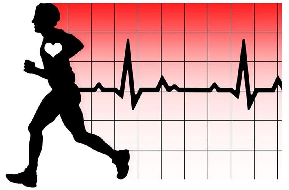 Frequenza cardiaca normale, a riposo e massima: differenze e indicazioni