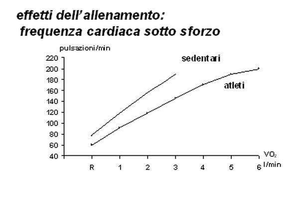 Frequenza-cardiaca-sotto-sforzo2