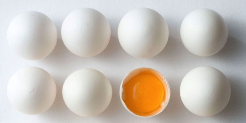 Uova contaminate: cosa c’è dietro al Fipronil e come si poteva evitare