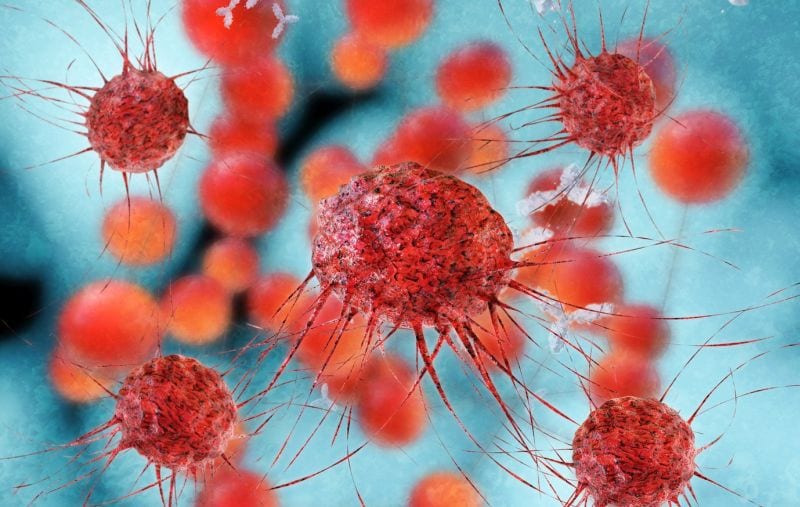 Cellule tumorali smascherate e abbattute: la nuova frontiera dell'immunologia
