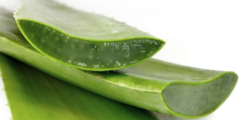 Aloe costosa per dimagrire: medico condannato per falsa cura