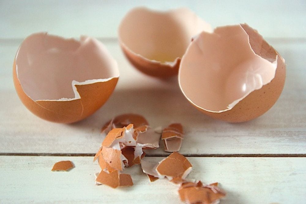 Gusci d'uovo: perché non bisogna buttarli
