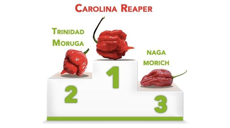 Mangia il peperoncino più piccante del mondo: le conseguenze infernali