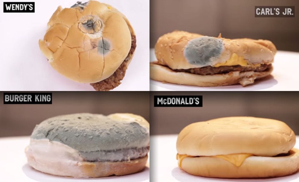 McDonalds': l'esperimento sui cheesburger è incredibile