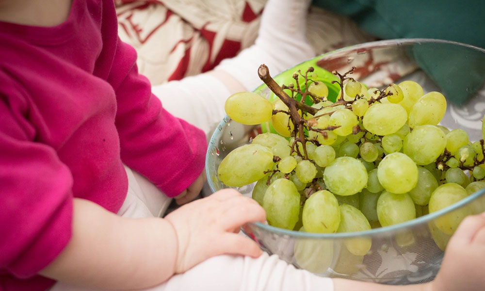 Rischia la vita a 4 anni: perché un acino d'uva poteva essere letale