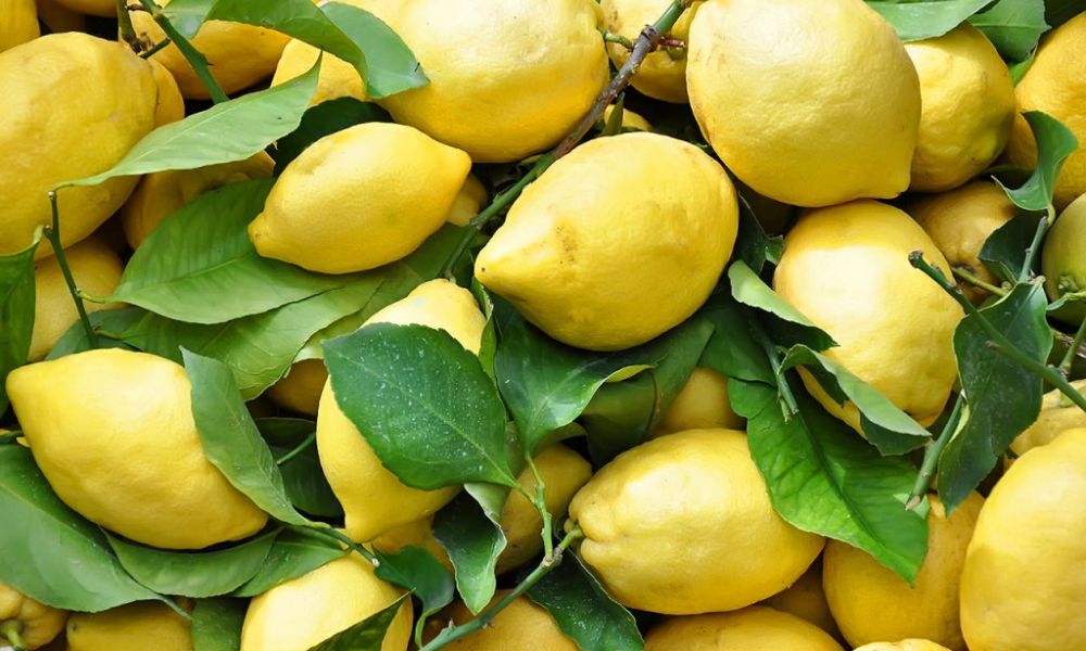 Limoni del supermercato: come scoprire quando la buccia non è commestibile