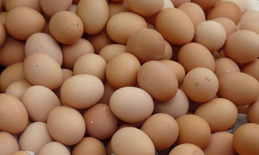 Gioco erotico finisce male: arriva in ospedale con 15 uova sode nel retto