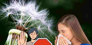 allergia di primavera sintomi rimedi naturali