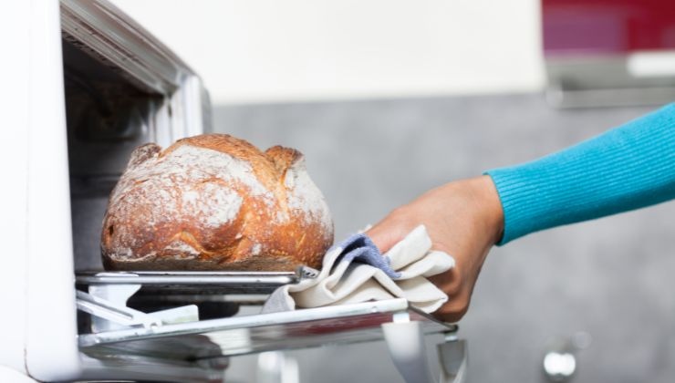 come fare tornare croccante il pane raffermo