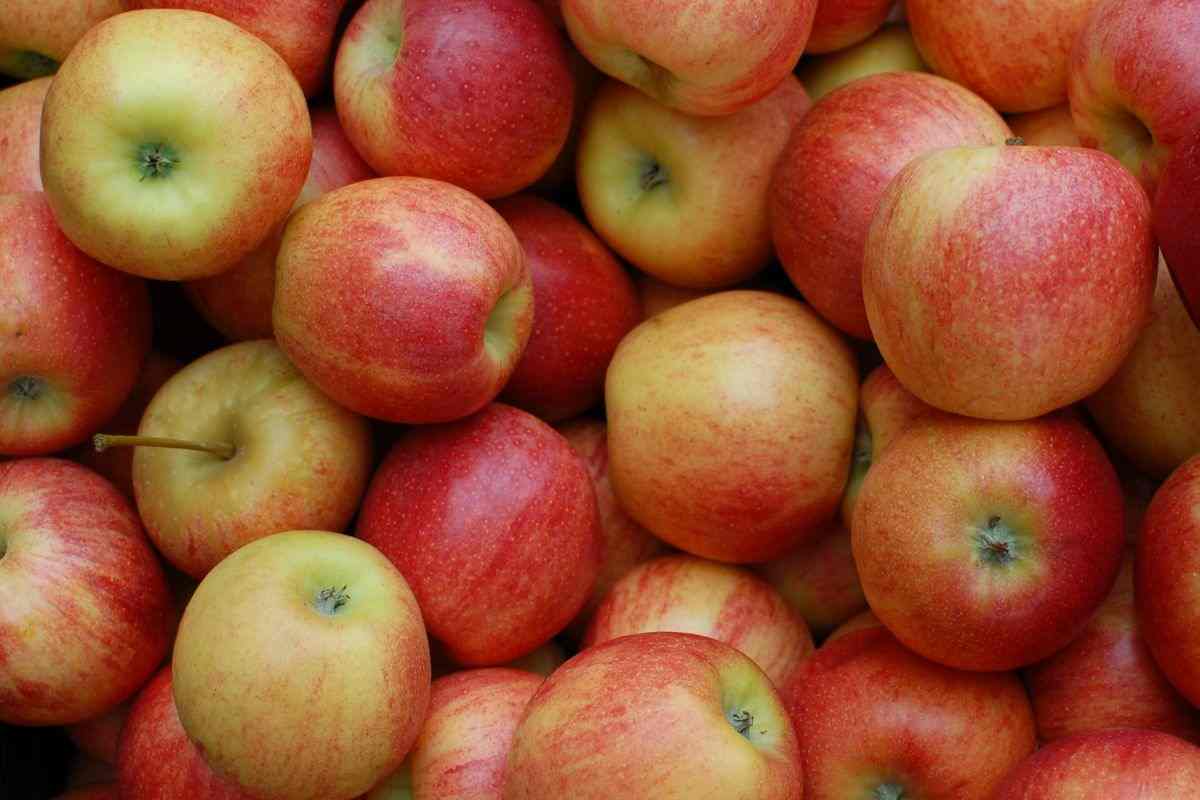 Torta di mele senza forno veloce