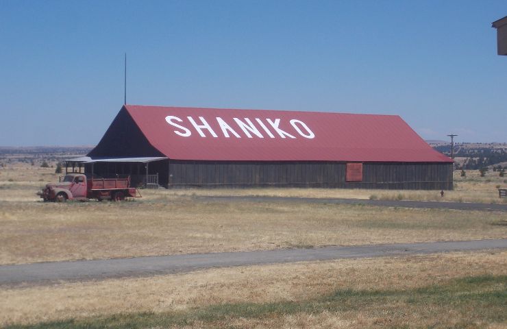 Shaniko